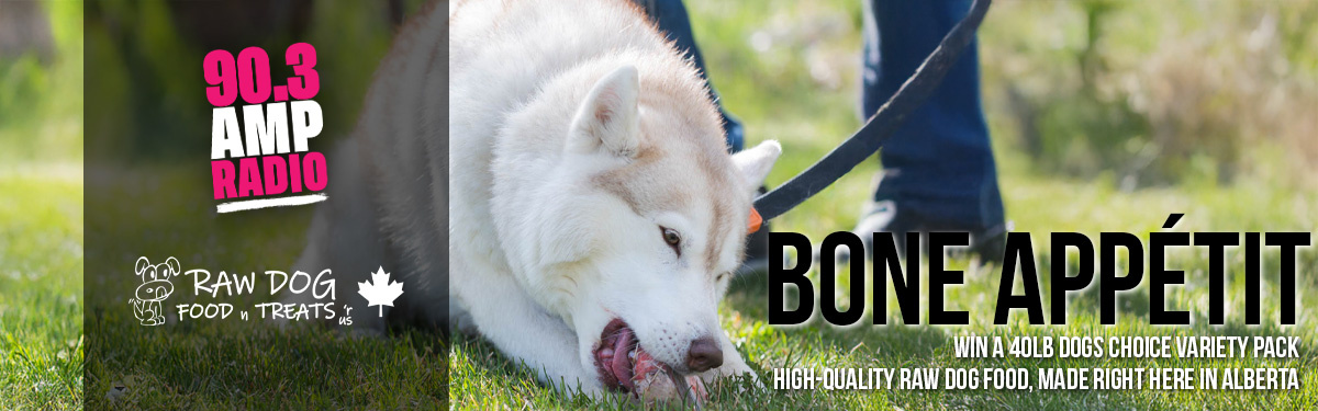 Bone Appetit!